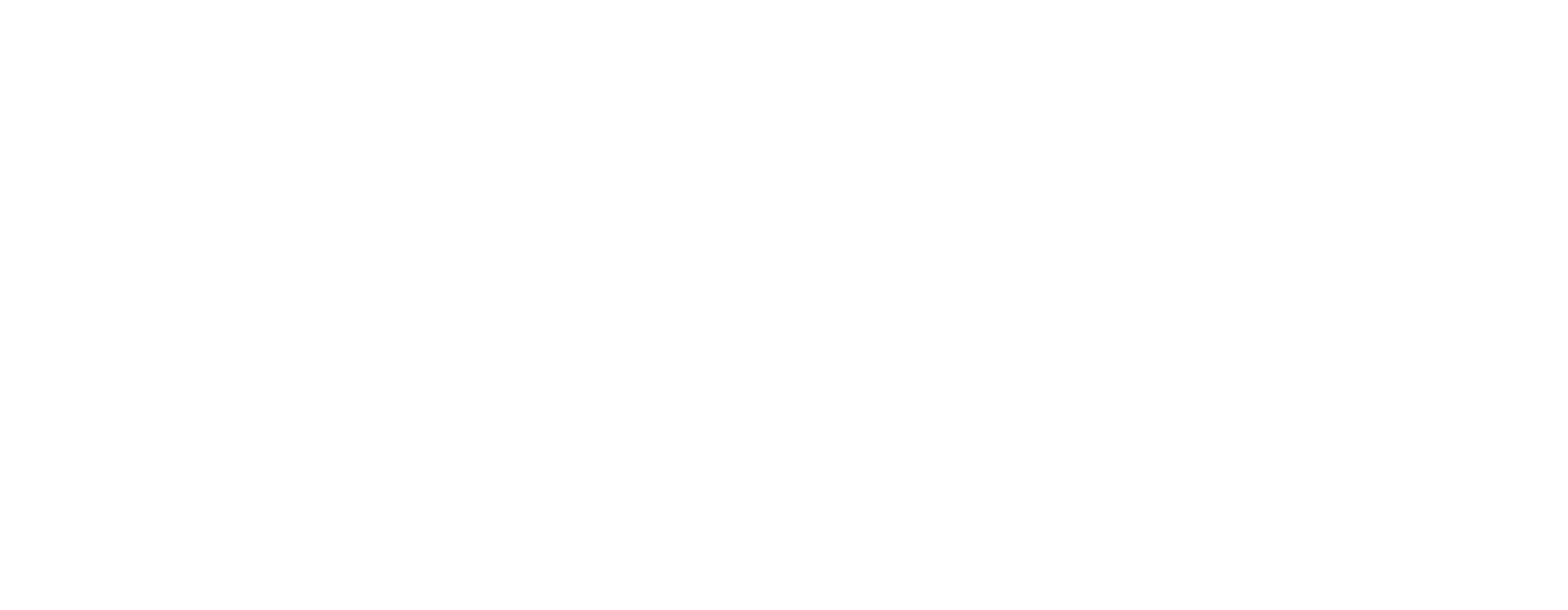 Svaapa